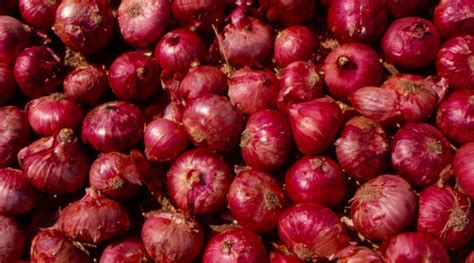 Onion Price Crash Maharashtra Farmers To Protest Next Week Unless