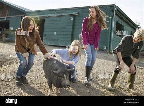 Three Children And A Young Woman With A Large Pig In The Pigpen At An