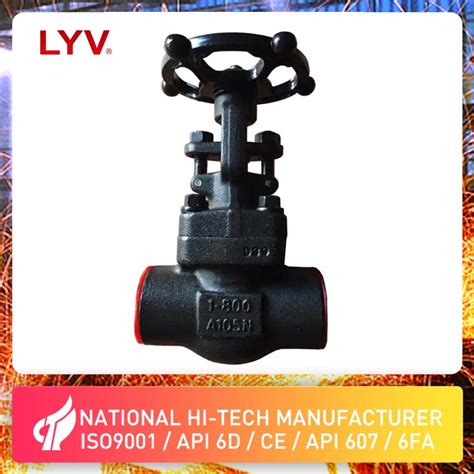 Api A Lf Lb Os Y Sw Bw Npt Flanged Gate Valve Inch From