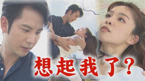 【天道】ep54 被英雄救美子彤冒出黑烏鴉凱鴻發現她恢復記憶了 晴天問出政恩墜樓線索竟害同學被萌姿霸凌│fight For