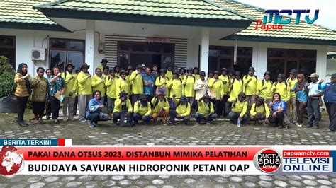 Pakai Dana OTSUS 2023 DISTANBUN Mimika Pelatihan Budidaya Sayuran