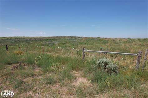 Grassy Knowles In Beaver County Oklahoma Photos National