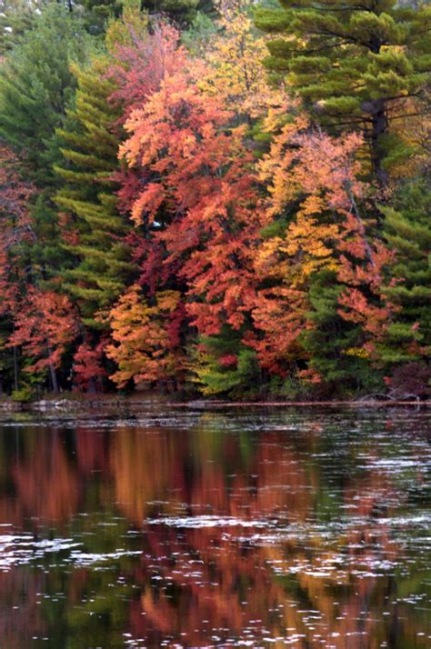 Eastern Adirondacks - Fall Foliage - PhotoMonium