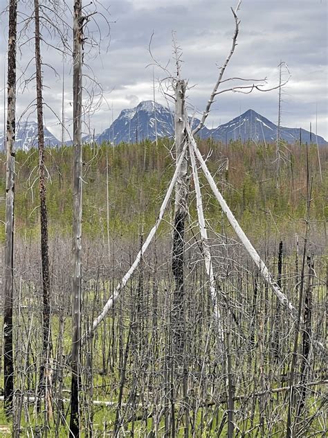 David Paulides on Twitter: "Hiking through the back country today at