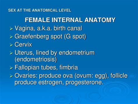 Ppt Sex At The Anatomical Level Powerpoint Presentation Free