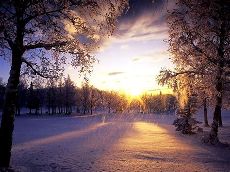 Achtergrond Winter Sneeuw Natuur Betse Achtergronden