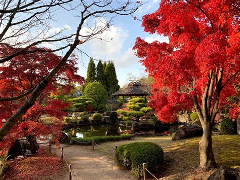 遊びにおいで姫路へ 姫路城西御屋敷跡庭園・好古園「紅葉会」