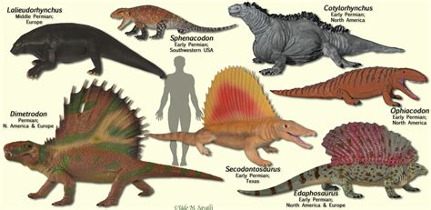 Prehistoric Reptiles