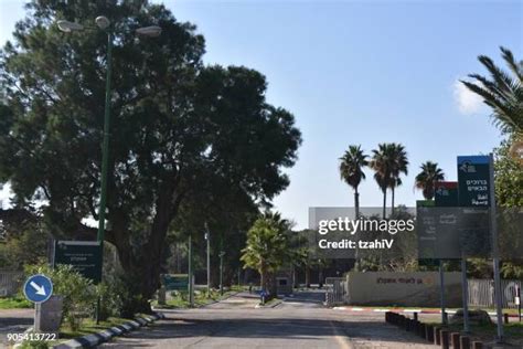 38 Ashkelon National Park Stock Photos, High-Res Pictures, and Images - Getty Images