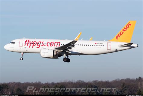 TC NBP Pegasus Airbus A320 251N Photo By Pascal Weste ID 985541