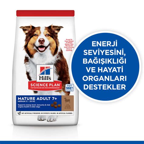 Hills Mature Lamb Kuzulu Yaşlı Köpek Maması Kg Köpek Kuru Mamaları Hills