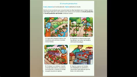 Ciencias Sociales Circuito Productivo Del Tomate Youtube