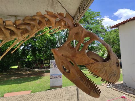 15 anos do Museu de História Natural de Mato Grosso Crea MT