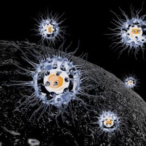 LIfT BioSciences IMAN therapy shows killing of cancer tumoroids 