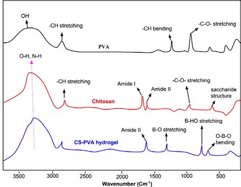 Ft Ir Spectra Of A Pure Pva B Chitosan And C Cs Pva Hydrogel