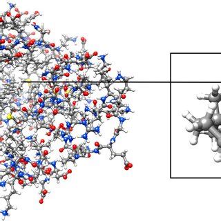 Retinal bound to rhodopsin with active retinal was showcased by ...