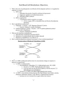 Red Blood Cell Metabolism