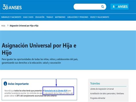 Asignación Universal por Hijo AUH ANSES solicitud y turno