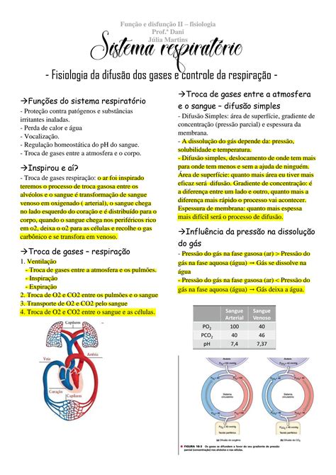 SOLUTION Fisiologia Veterin Ria Sistema Respirat Rio Fisiologia Da