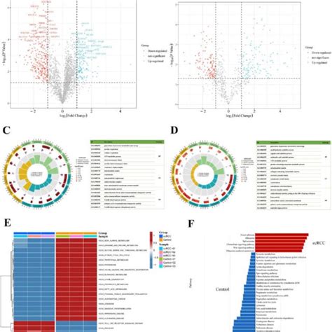 Integrated Enrichment Analysis Of Differentially Expressed Proteins And