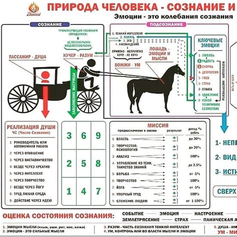 Числовая психология СЮЦАЙ | Психология, Наука, Тесты личности