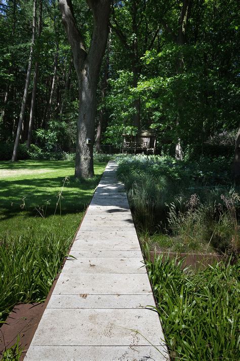 Into The Forest Being A Guest In The Landscape By Andrew Van Egmond