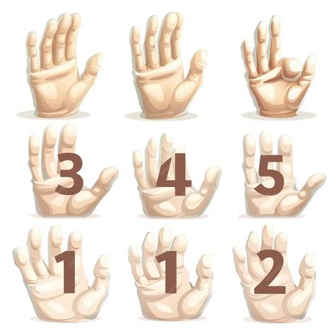 Premium Photo | Modern illustration set of cartoon hand numbers gesture ...