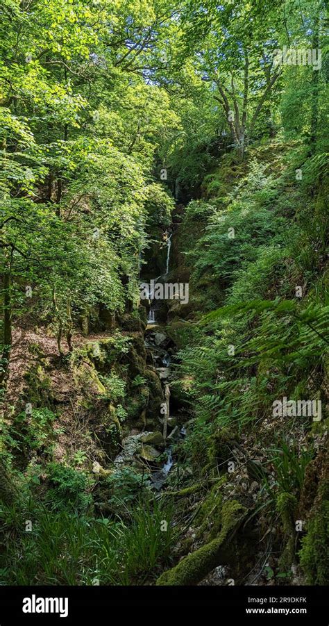 Lake District Landscape Around Ambleside Windemere And Grasmere Stock