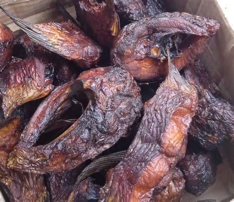 Mangala Fish 20pcs Oretide Foods Nigerias Online Store For