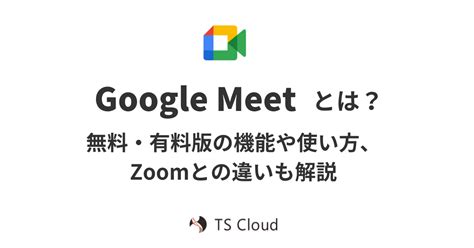 google meet zoom ts