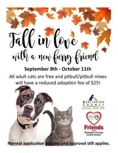 Fall In Love With A New Furry Friend With Special Adoption Prices