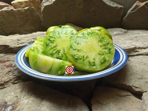 Best Green Dwarf Tomatoes Summertime Green Dwarf Tomato Seeds Bounty