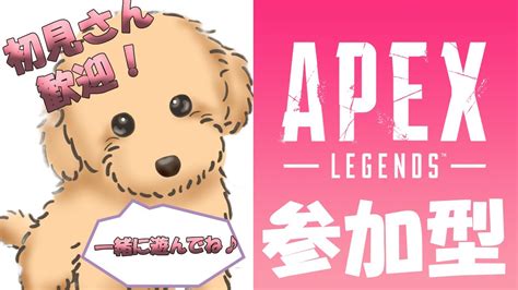 【参加型】【apex女子】誰でも歓迎！カジュアルapex配信【エーペックスレジェンズ】 Youtube