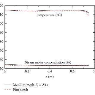 Radial Profile Of The Helium And Vapor Molar Concentration At Z M