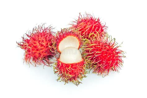 Rambutan fruit stock photo. Image of asian, rambutan - 25450434