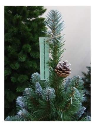 Triumph Tree - купить товары бренда Triumph Tree, официальный каталог ...