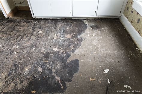 How To Remove Tar Adhesive From Wood Floor Floor Roma