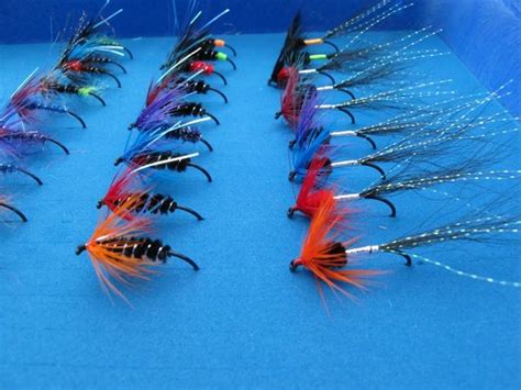 Summer Steelhead Flies? | Steelhead flies, Steelhead, Steelhead fishing