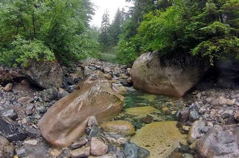 Lynn Lake Hike in North Vancouver | Outdoor Vancouver