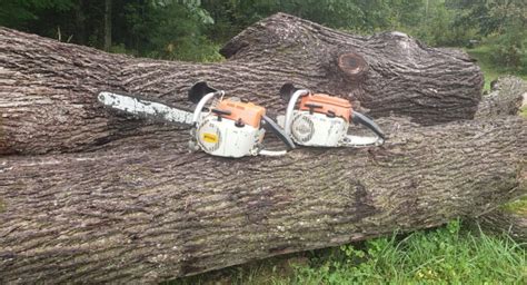 Best Stihl Chainsaws Review Pro Homeowner Firewood