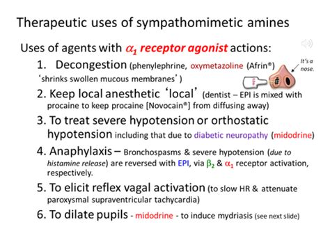 Adrenergic Drugs Ii Flashcards Quizlet