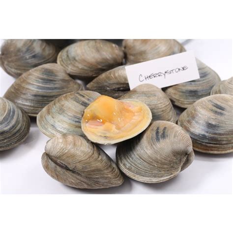 Cherrystone Clams | Citarella