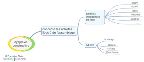 La Dyspraxie Visuo Spatiale