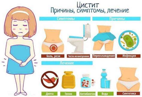Цистит у женщин: причины, симптомы, лечение и профилактика заболевания