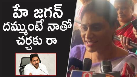 Ys Sharmila Open Challenge To Ys Jagan Ap