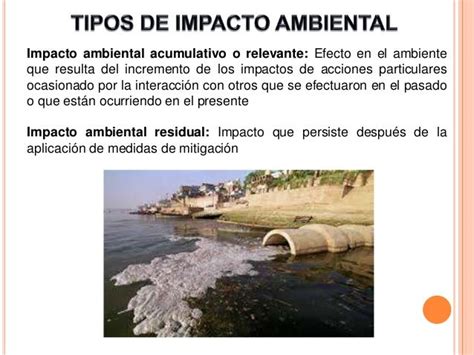 Impacto Ambiental Blog El Insignia