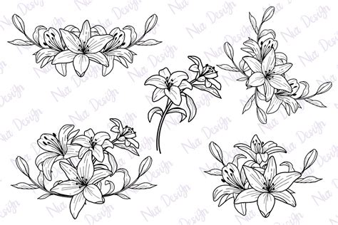 Lily Flower Lineart Monochrome Set Svg Graphic By Nurdesign99