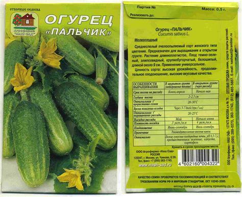 Семена оптом. Агрофирма НАШ САД - Продукция