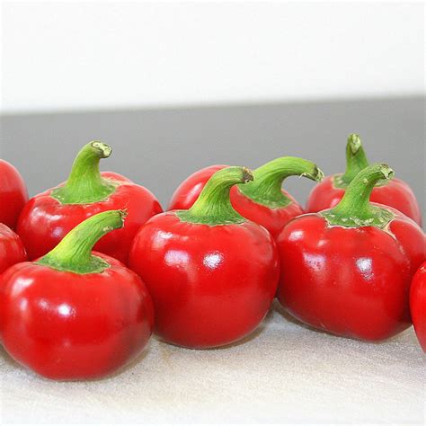 Hot Cherry Pepper Golinucci Organic Srl