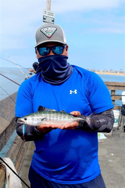 Pacific Bonito Pier Fishing In California